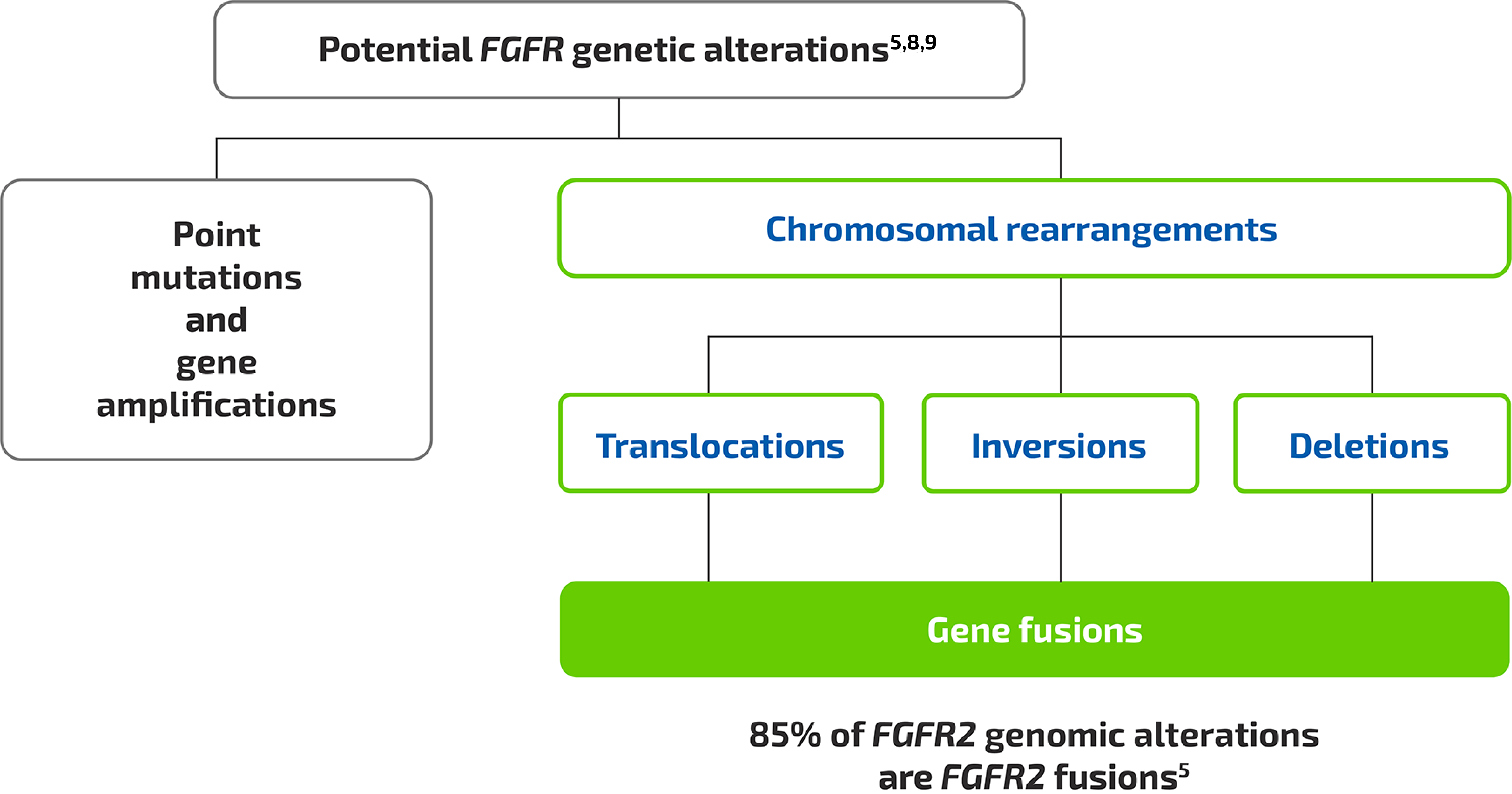 FGFR Fusions Flow Chart