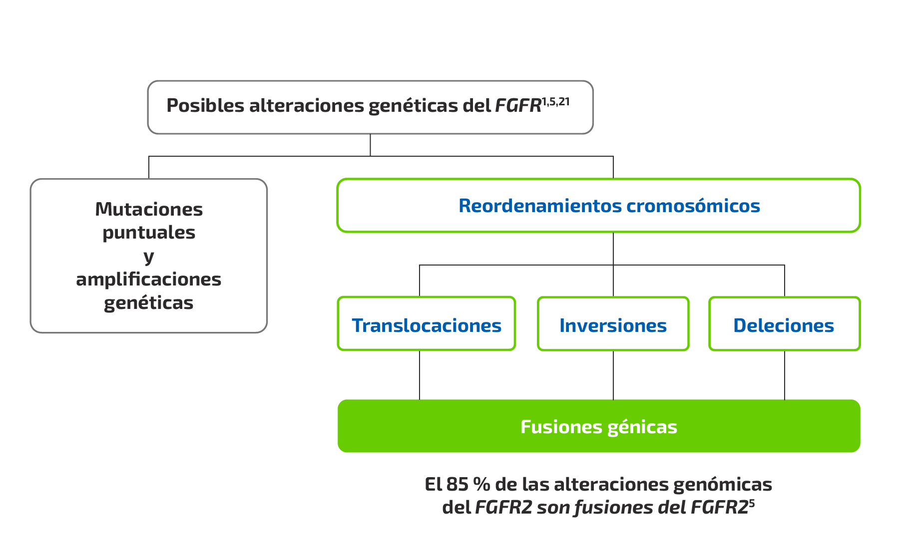 FGFR Fusions Flow Chart