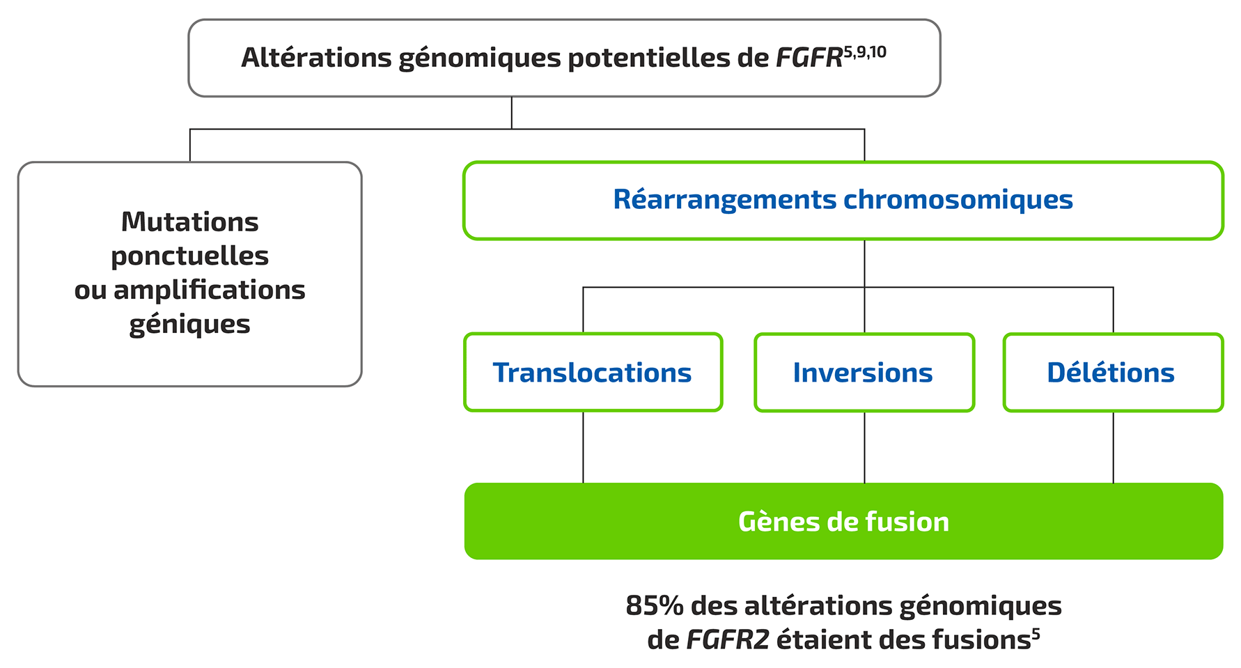FGFR et altérations génomiques