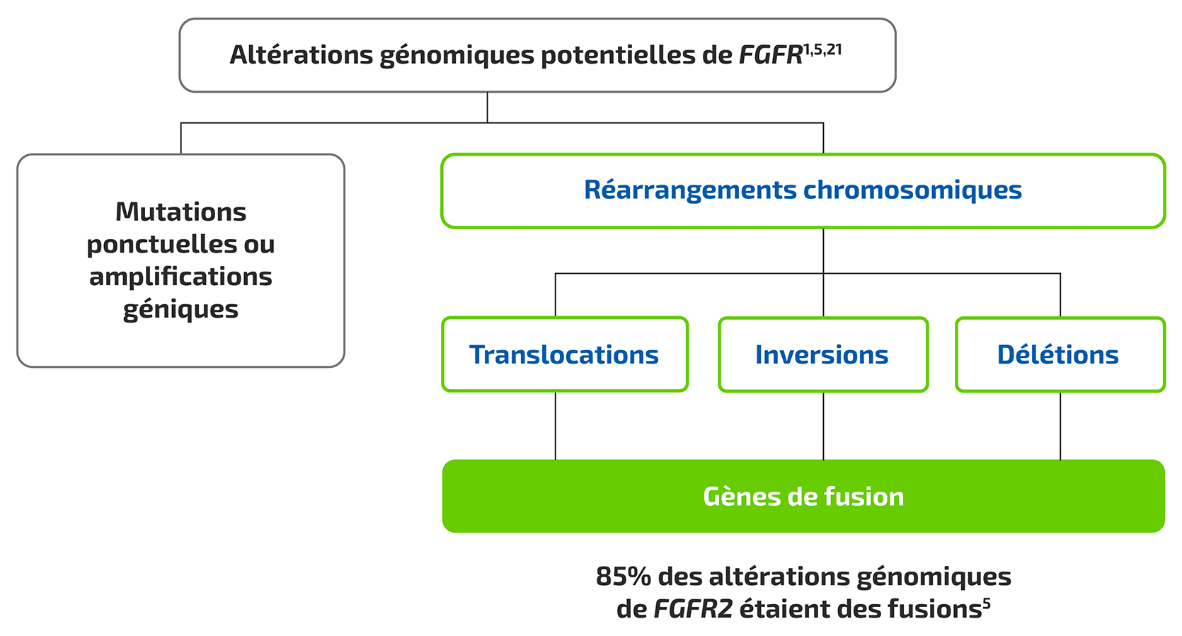 FGFR Fusions Flow Chart