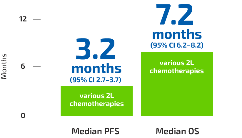 Systematic review of 2l chemotherapies